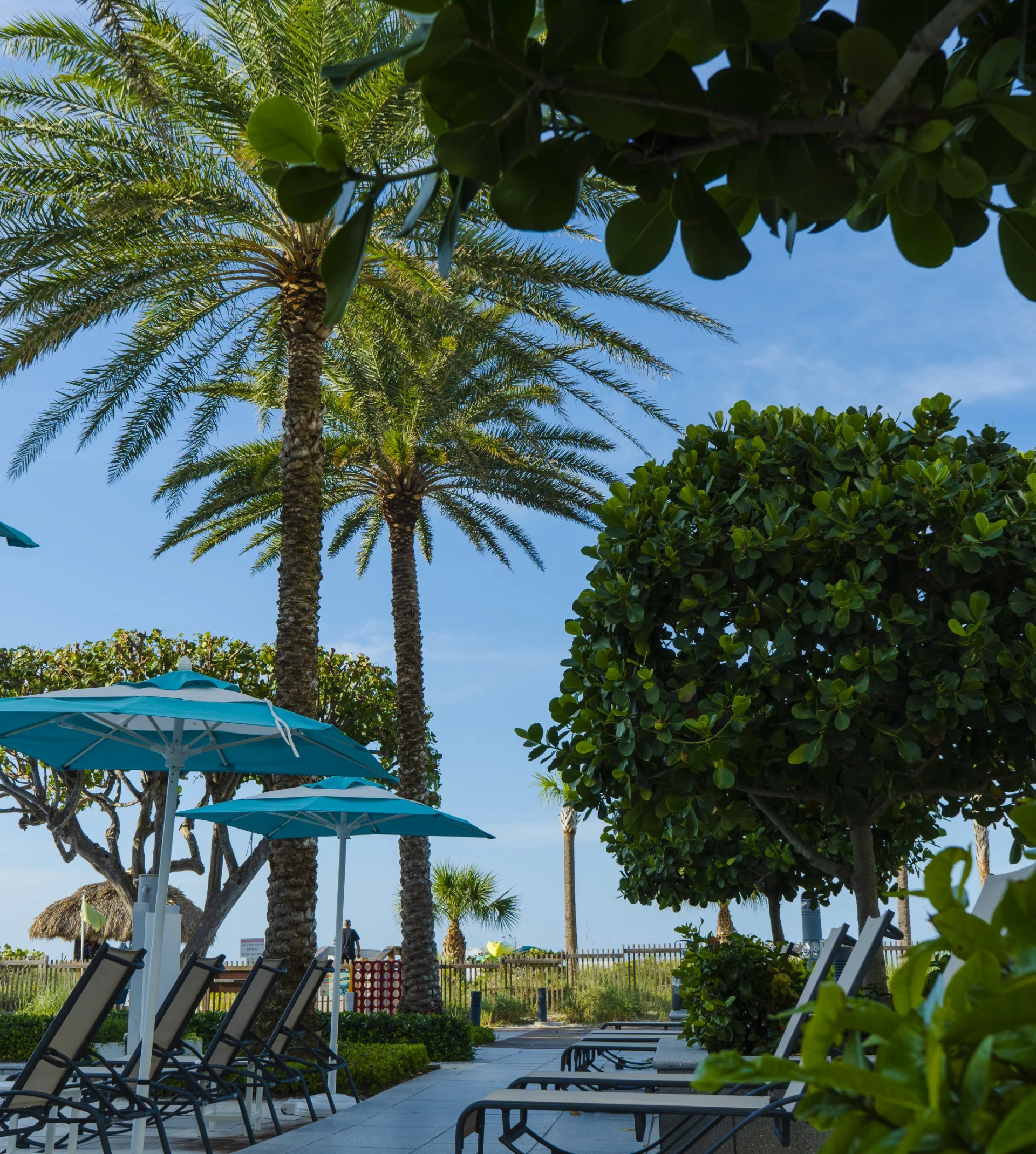 anna maria island landscaping