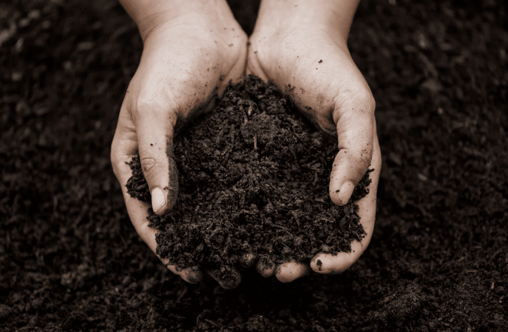soil