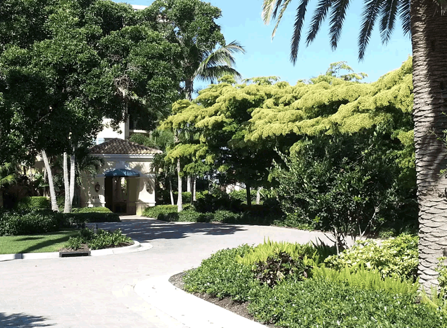 beautiful landscaping in sarasota